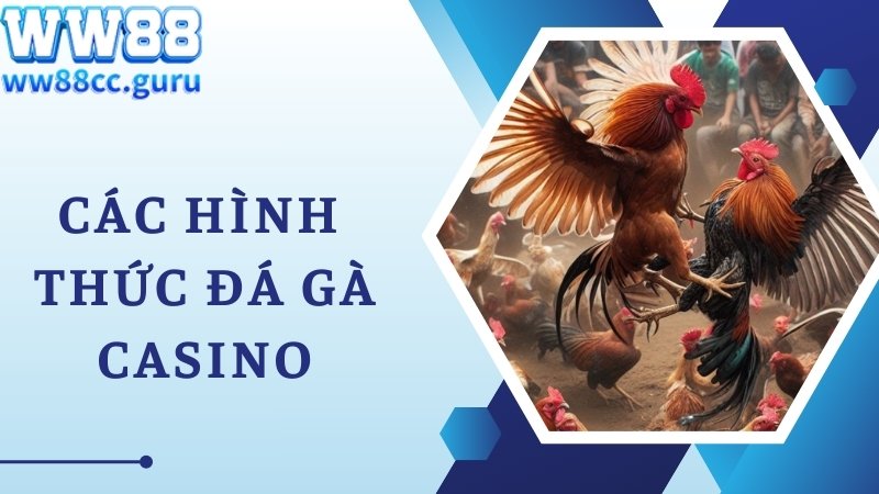 Các hình thức đá gà Casino quen thuộc trên thị trường