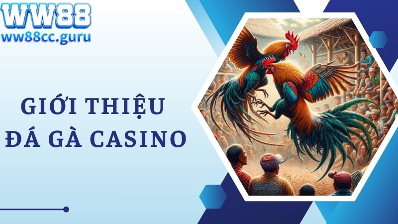 Hình thức đá gà Casino phổ biến, thu hút tại nhà cái WW88